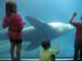 5-sealife