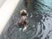 5-sealife2